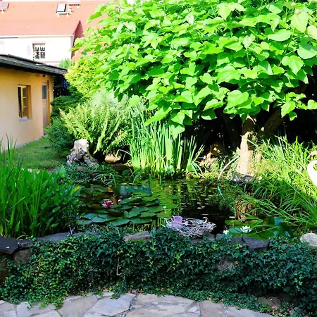 Vakantiehuis Saechsische Schweiz